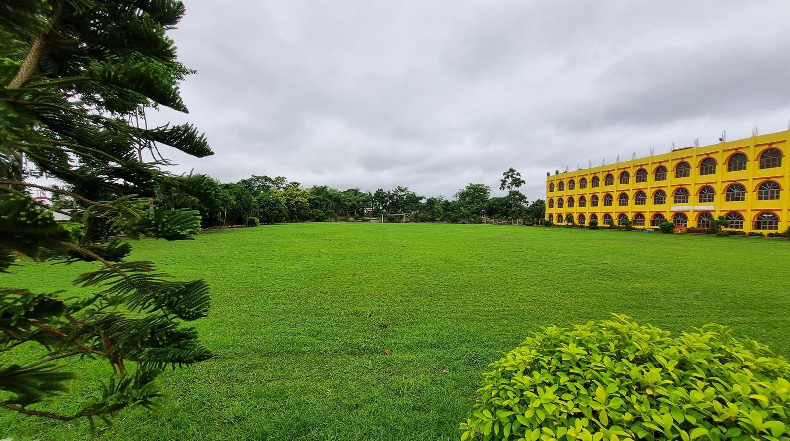 College View